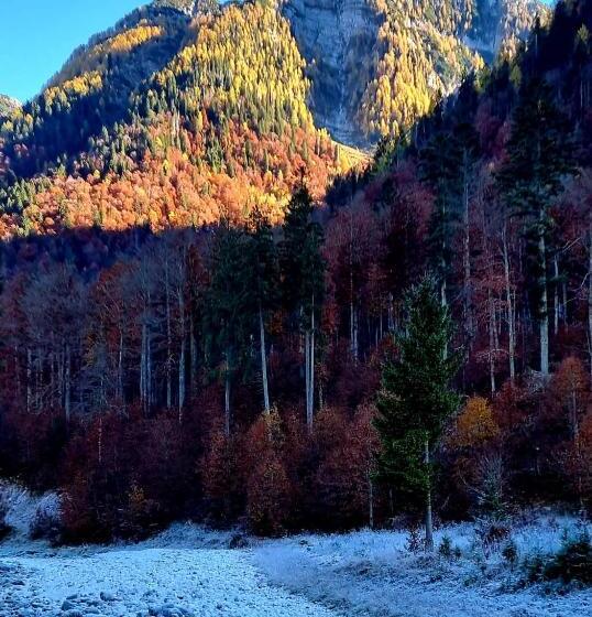 Pensjonat Affittacamere Buon Riposo