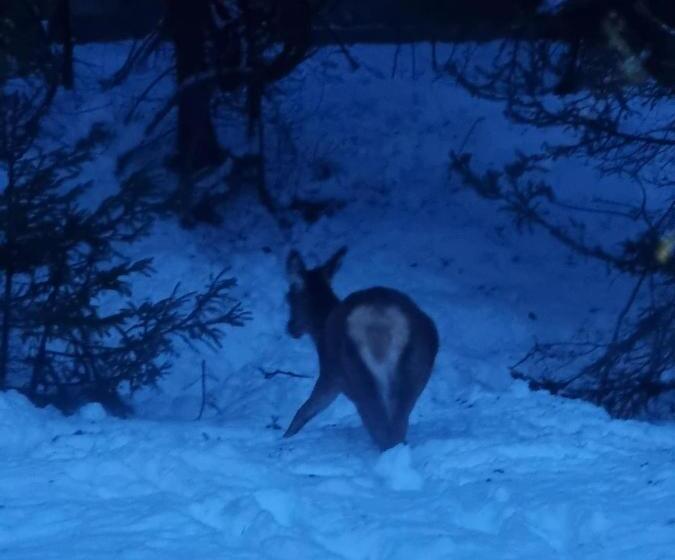 Pensjonat Affittacamere Buon Riposo