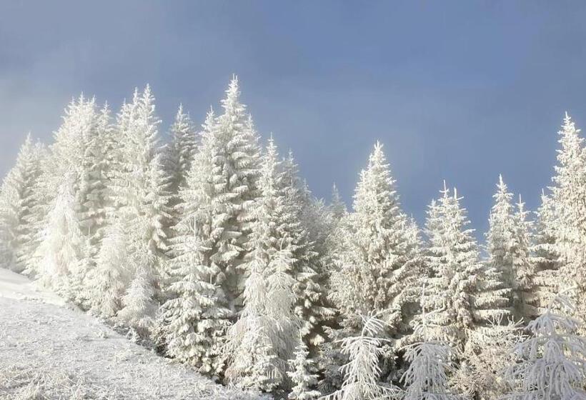 Pensjonat Affittacamere Buon Riposo