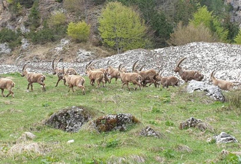 Pensjonat Affittacamere Buon Riposo