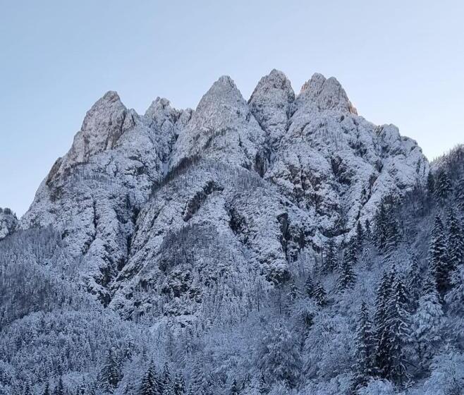 Pensjonat Affittacamere Buon Riposo