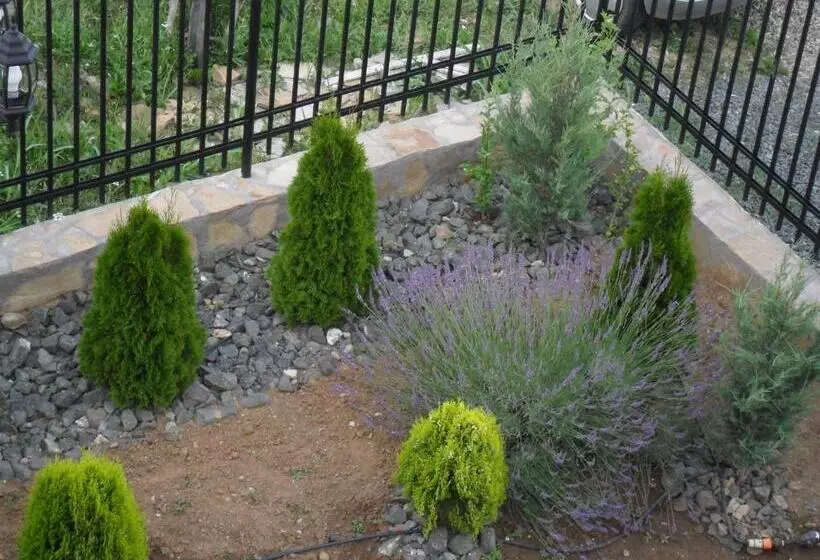 پانسیون Altay Guest House