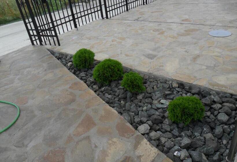 פנסיון Altay Guest House