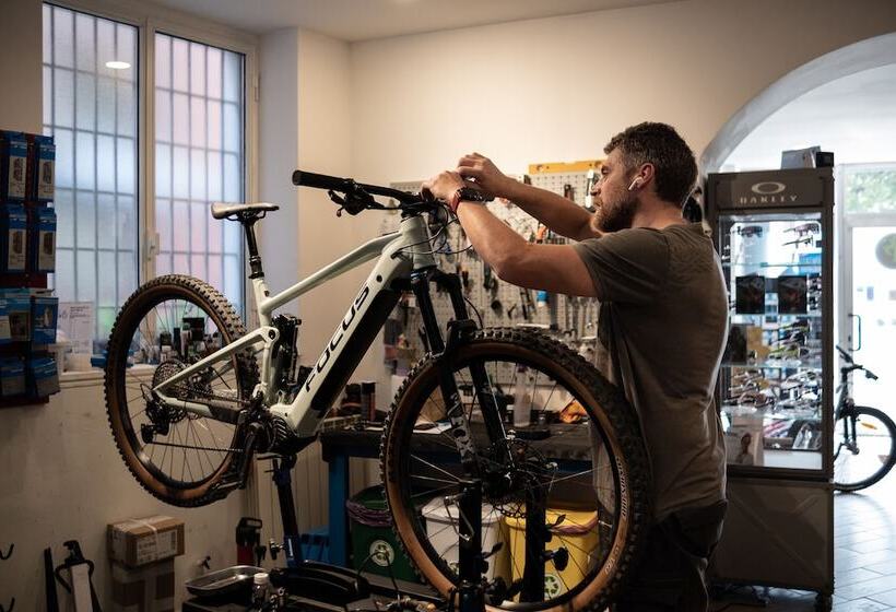 Отель Del Riale