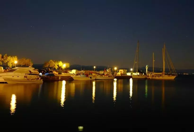 Отель Des Roses