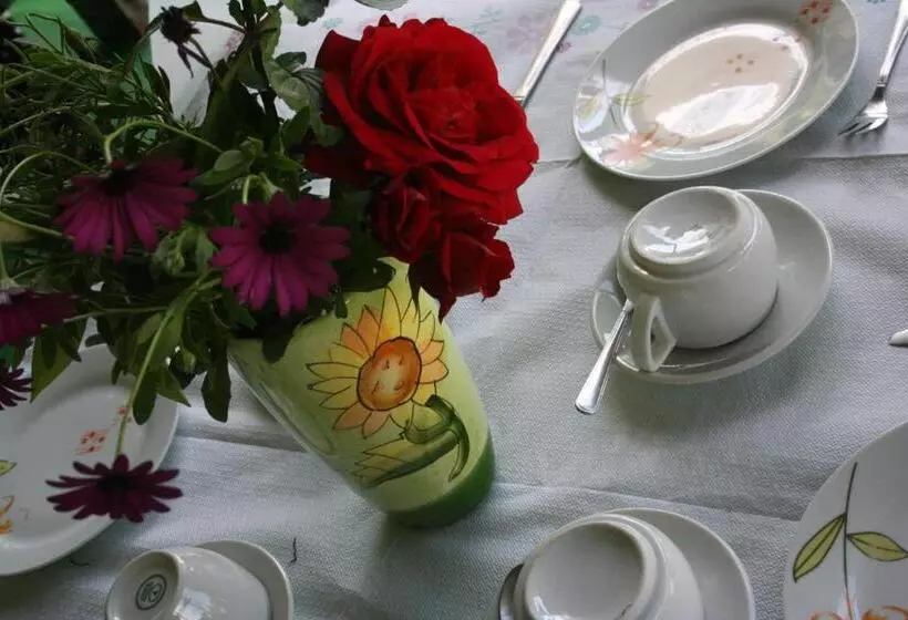 Отель Des Roses