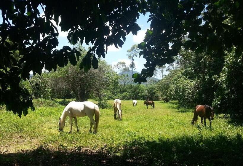 ホテル Eco Sítio Nosso Paraíso