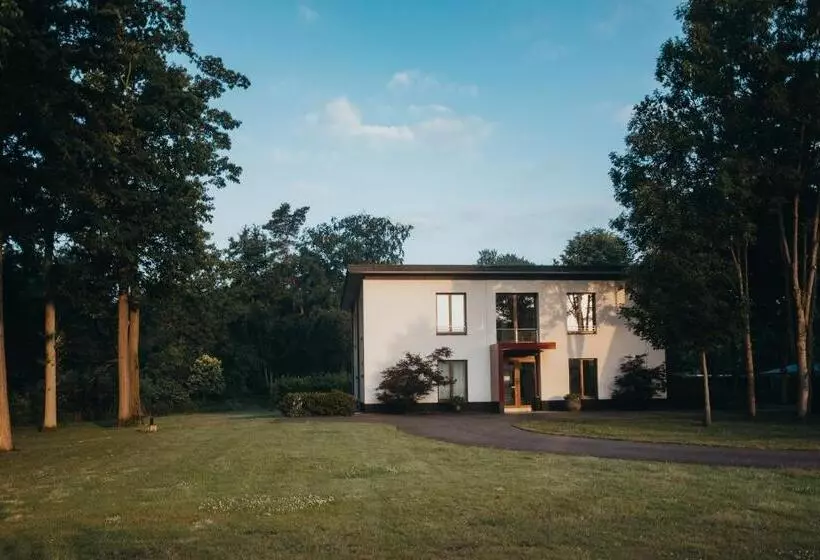 酒店 Gutsschänke Holsterfeld