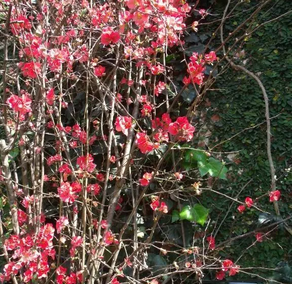 ホテル Hosteria Pascana