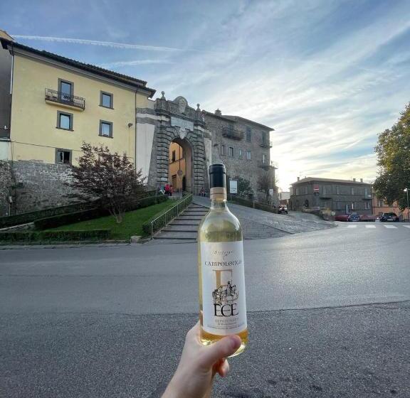 Отель Italia & Lombardi