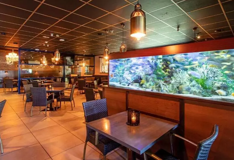 酒店 Thermen Dilbeek