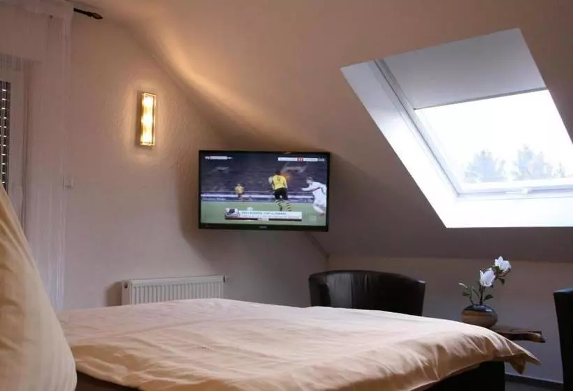 酒店 Zur Wasserburg