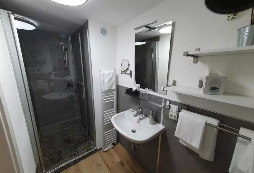 بنسيون Brauner Hirsch