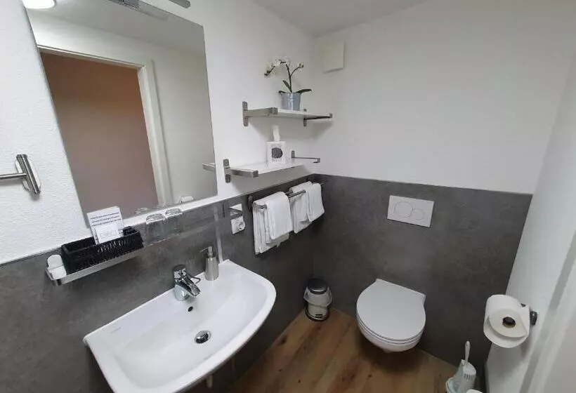 بنسيون Brauner Hirsch