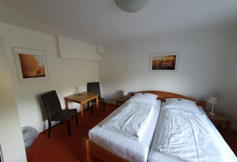 ペンション Brauner Hirsch