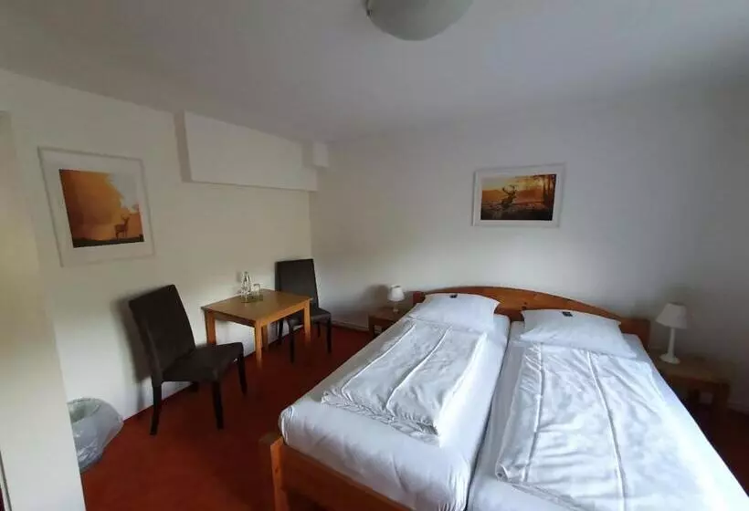 بنسيون Brauner Hirsch