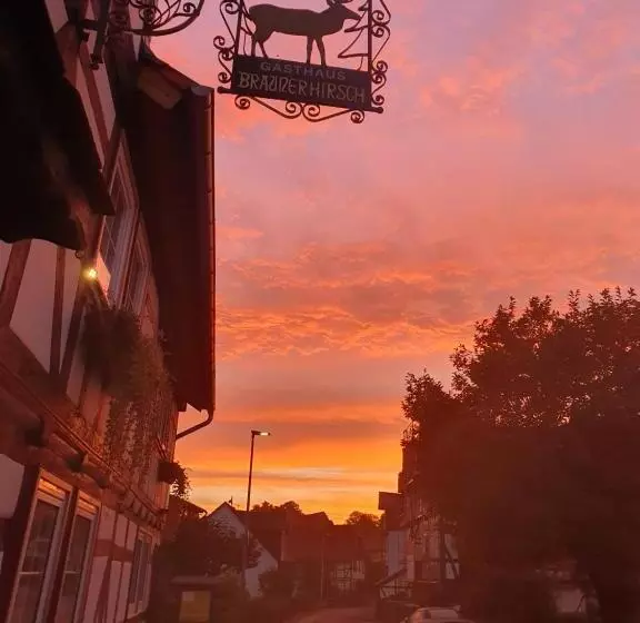 بنسيون Brauner Hirsch