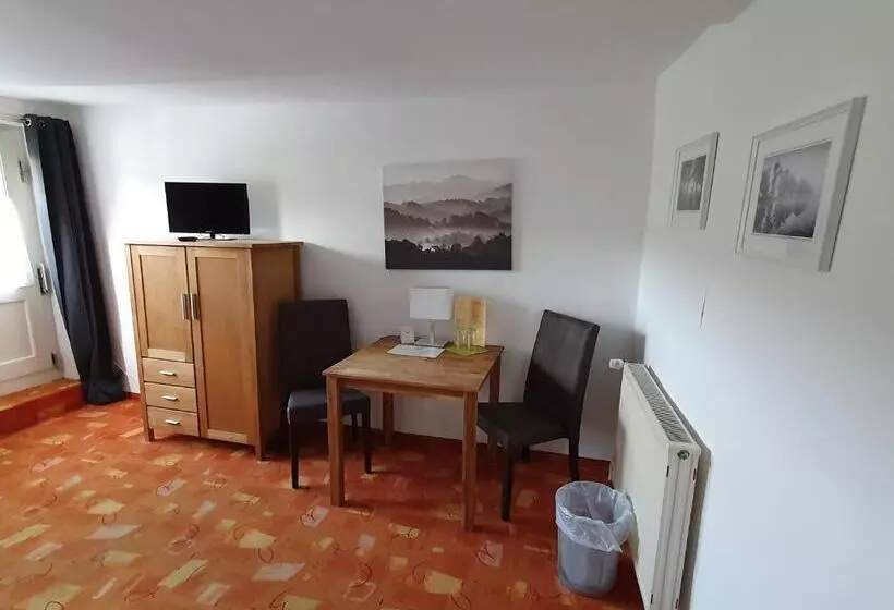 بنسيون Brauner Hirsch