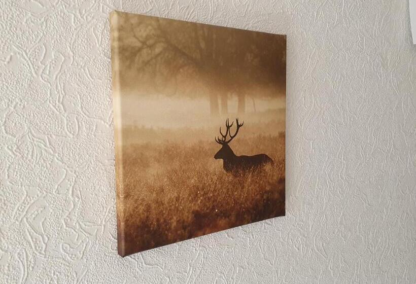 ペンション Brauner Hirsch