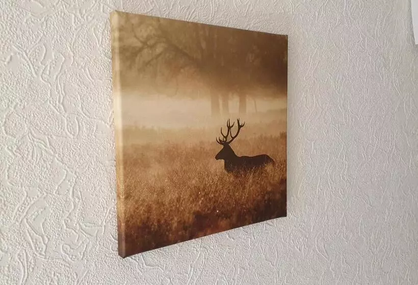 بنسيون Brauner Hirsch