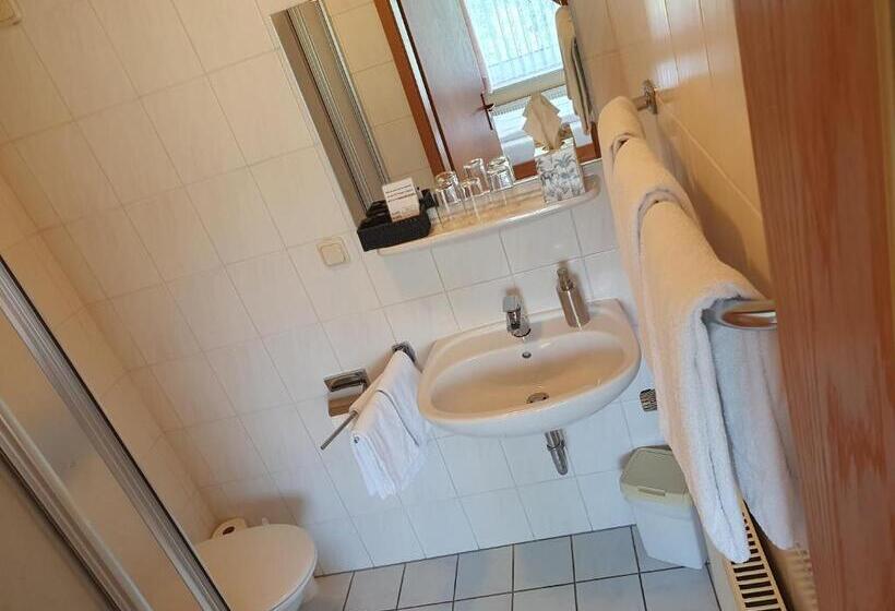 ペンション Brauner Hirsch