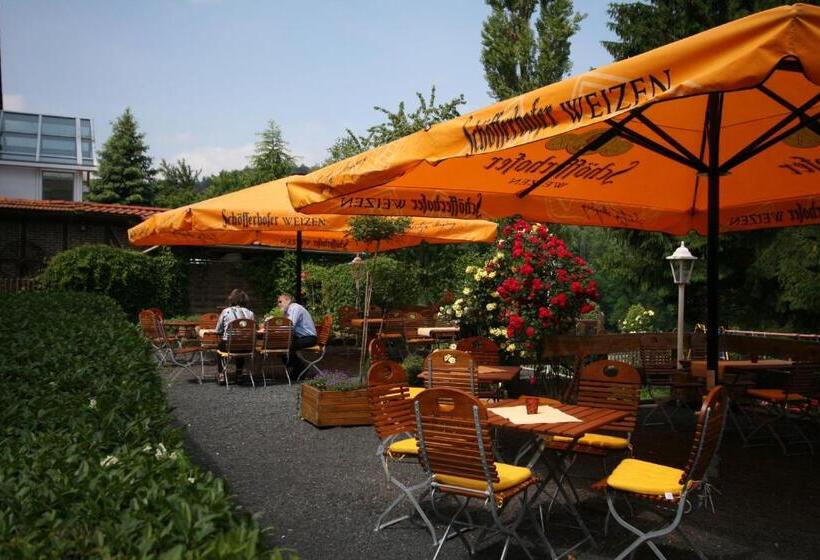 ペンション Brauner Hirsch