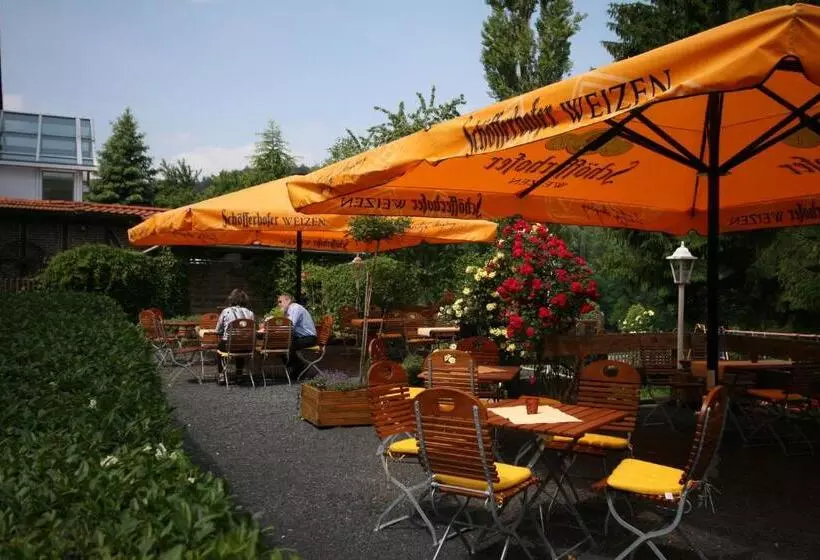 بنسيون Brauner Hirsch