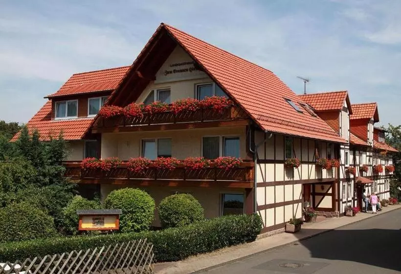 بنسيون Brauner Hirsch