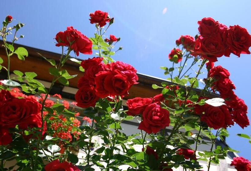 ペンション Brauner Hirsch