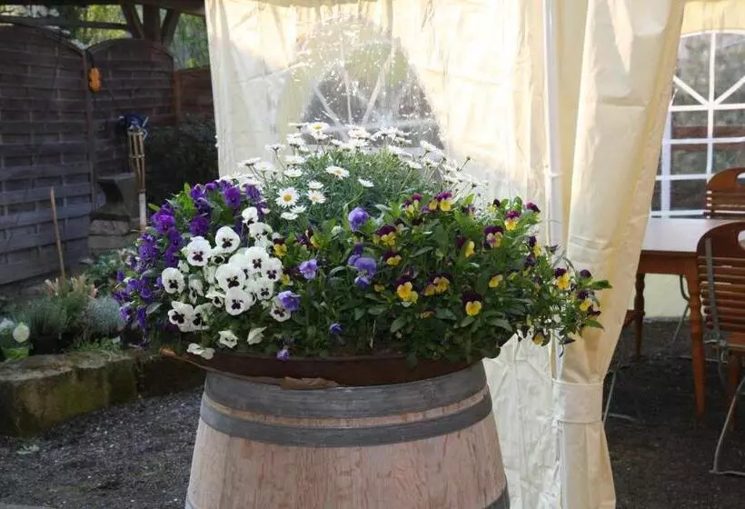 بنسيون Brauner Hirsch