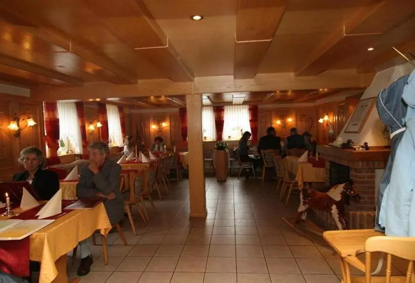 بنسيون Brauner Hirsch