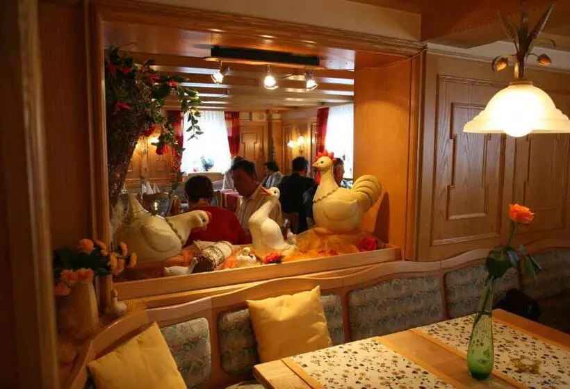 بنسيون Brauner Hirsch