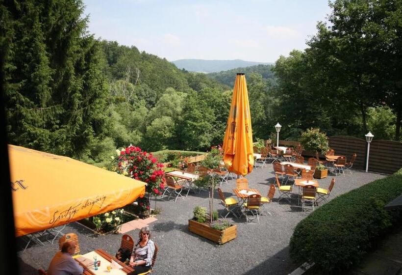 ペンション Brauner Hirsch