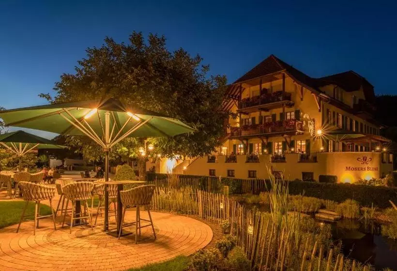 بنسيون Gasthaus Mosers Blume