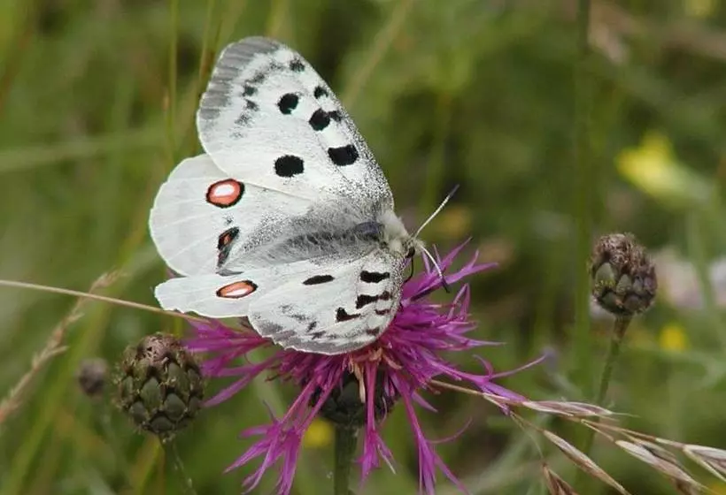 膳宿费 Gasthof Zum Brunnen