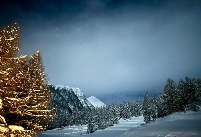 Engadin Chalet Private Spa Retreat & Appart St Moritz Val Bever