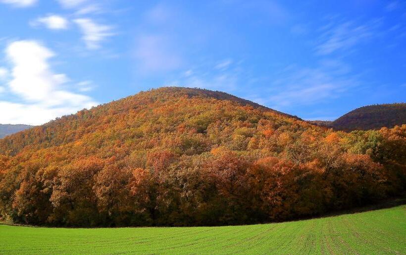 هتل Agriturismo La Cascina Di Opaco