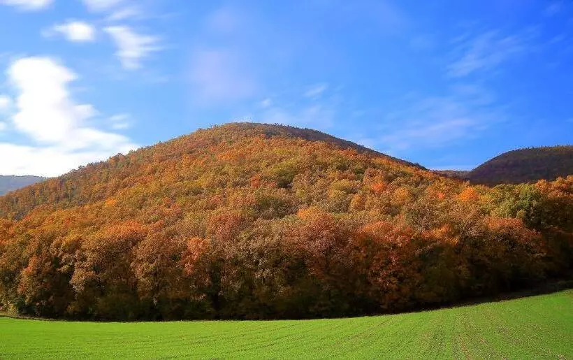 ホテル Agriturismo La Cascina Di Opaco