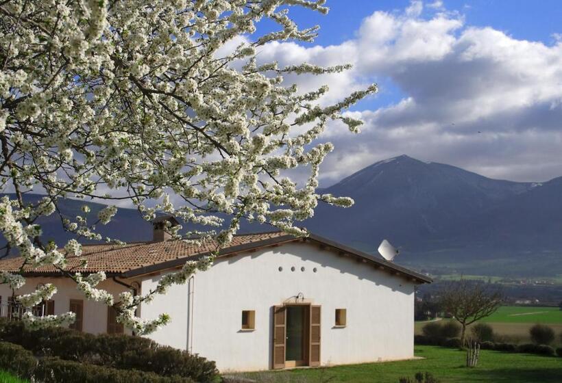 هتل Agriturismo La Cascina Di Opaco