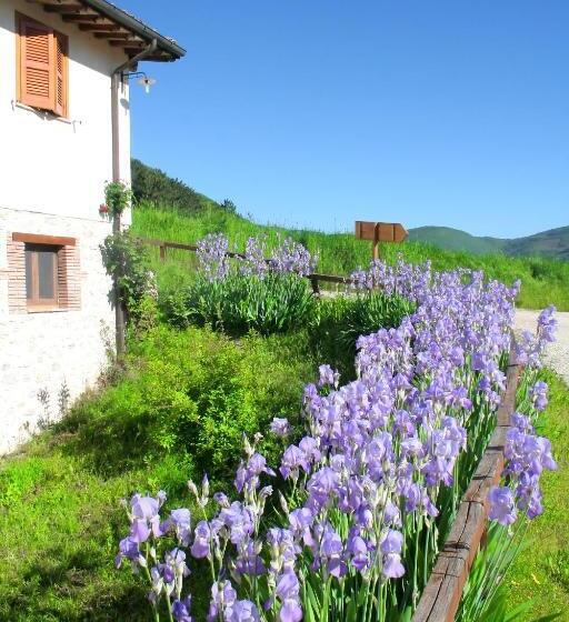 هتل Agriturismo La Cascina Di Opaco