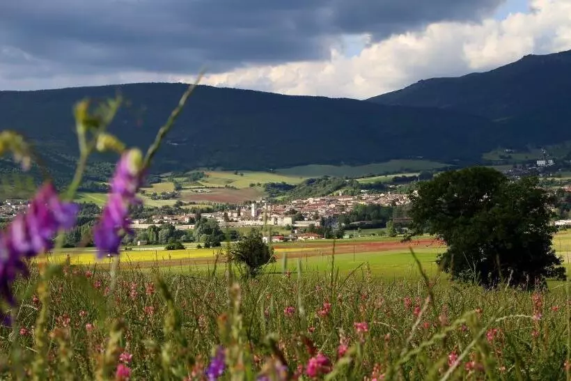 ホテル Agriturismo La Cascina Di Opaco