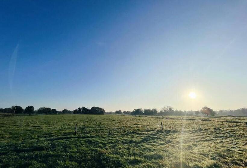 Huuske Lütten Uttied Das Landleben Genießen