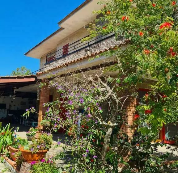 La Limonara B&b