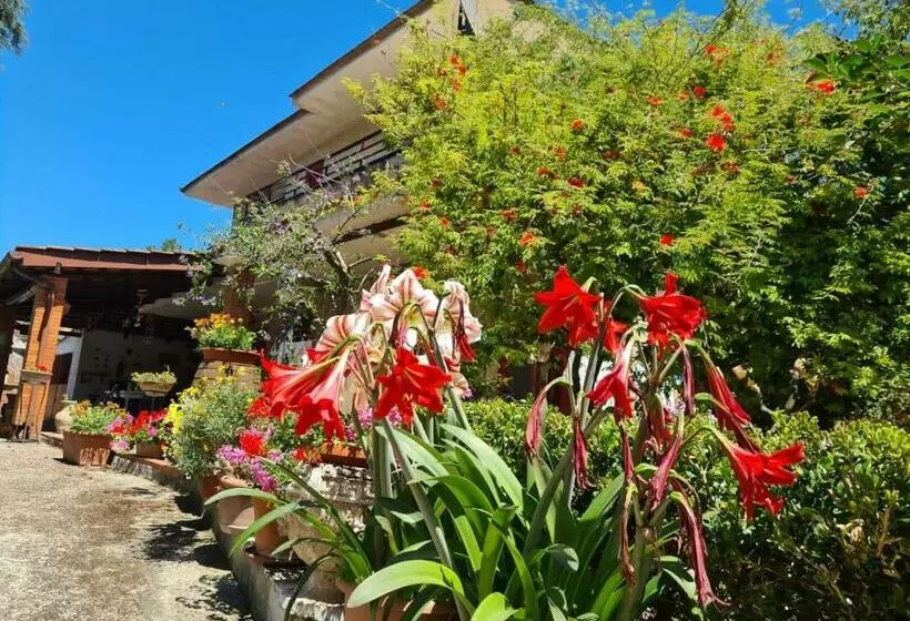 La Limonara B&b
