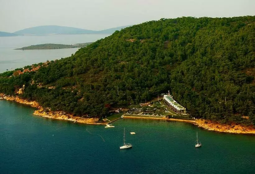 Ortunc Hotel   Cunda Island