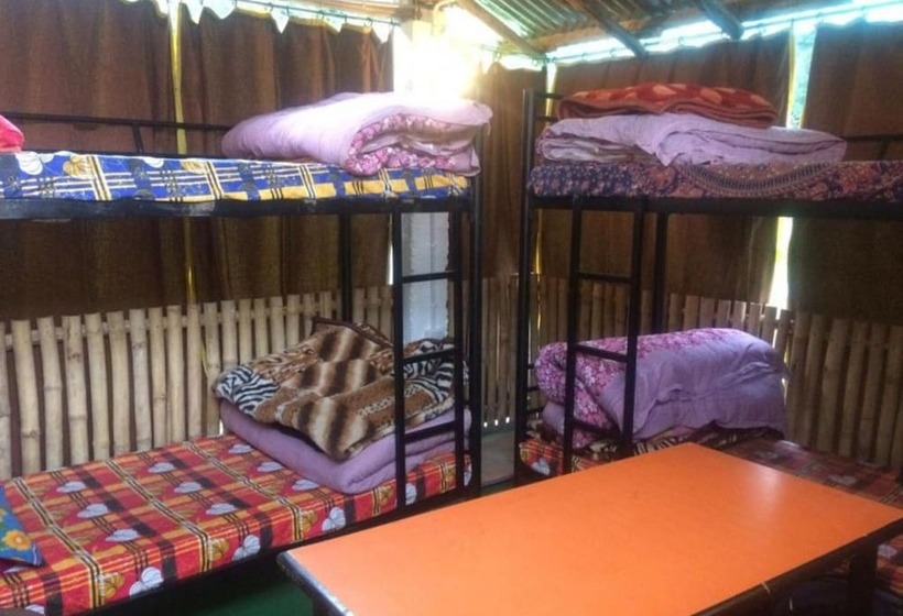 Goroomgo Bros Hostel Manali