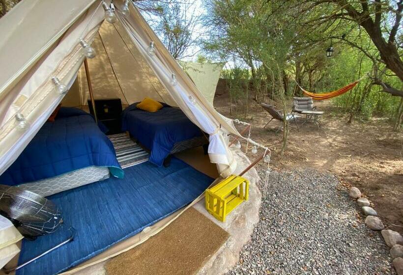 تختخواب و صبحانه Caminandes Hostal