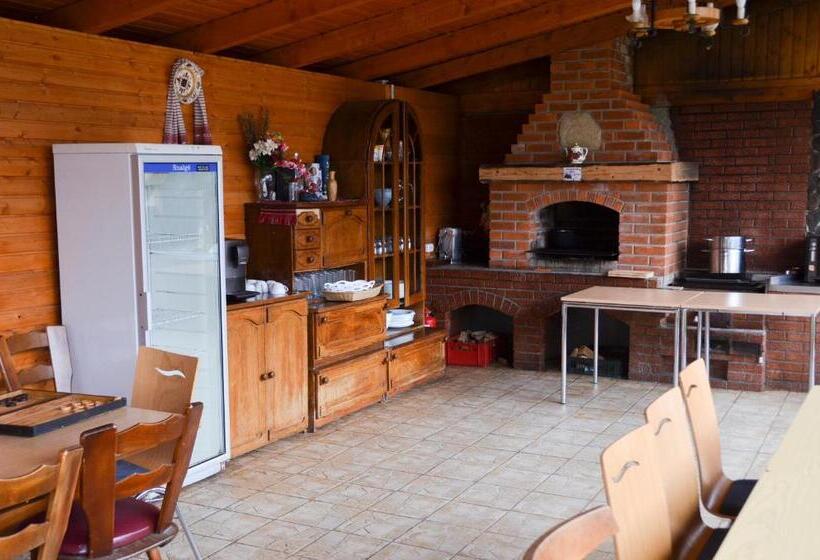 Casute In Copac & Case A Frame