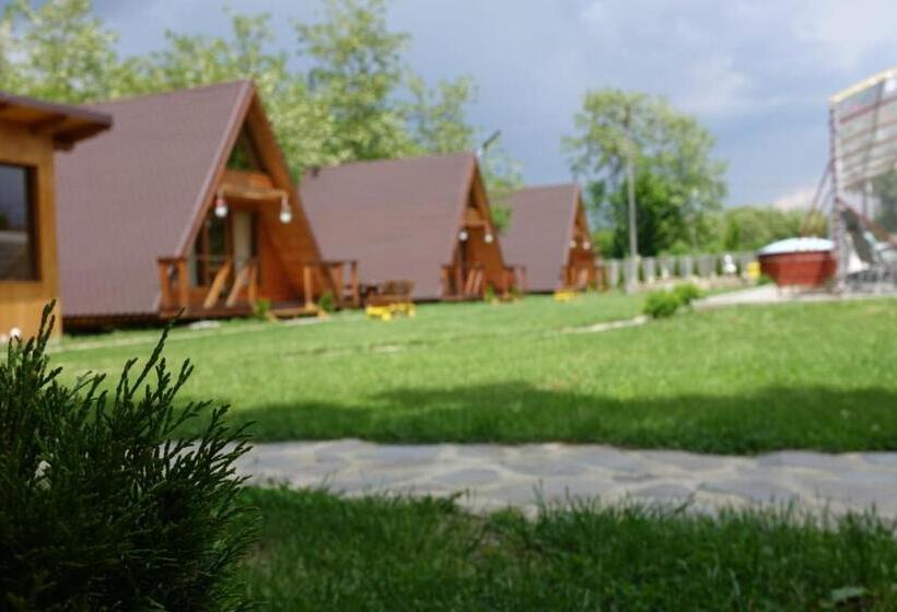 Casute In Copac & Case A Frame