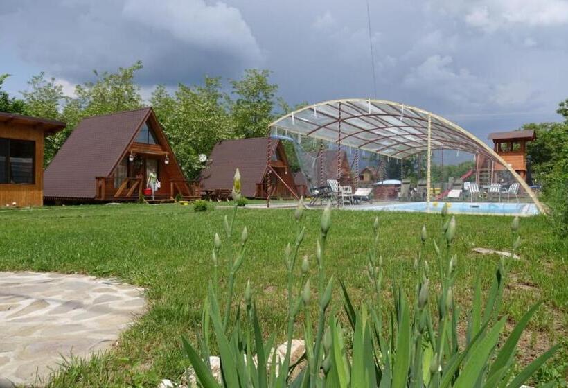 Casute In Copac & Case A Frame